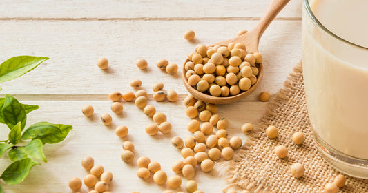 soy