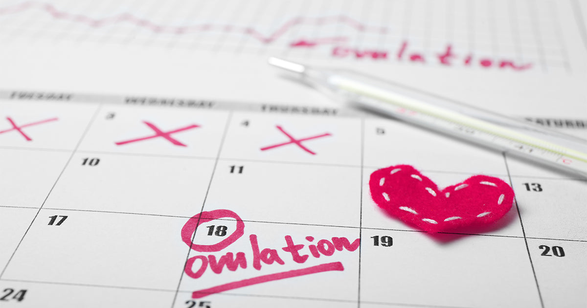 calendar with ovulation and heart on it