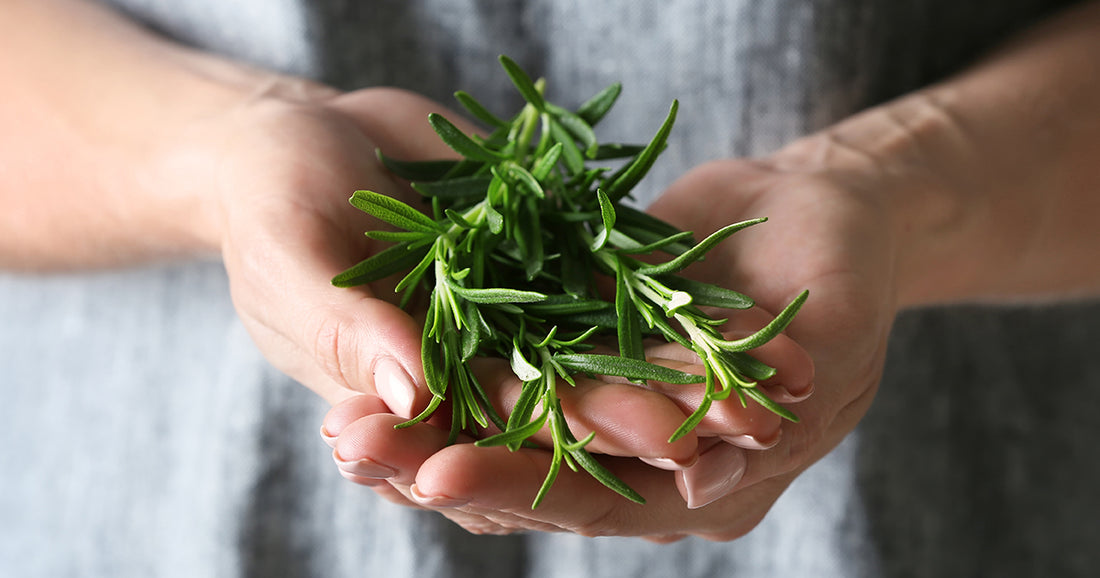 woman holding herbs