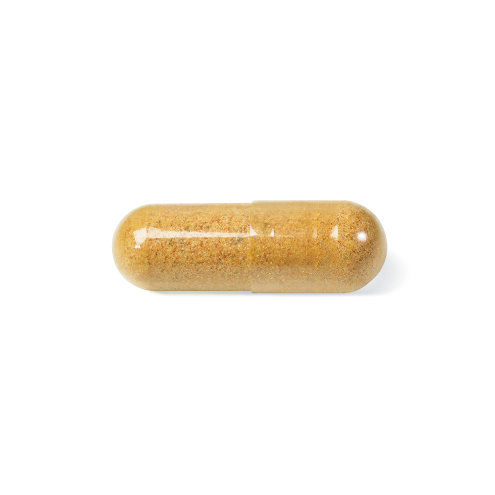 LV0019_EstroSmart_Pill