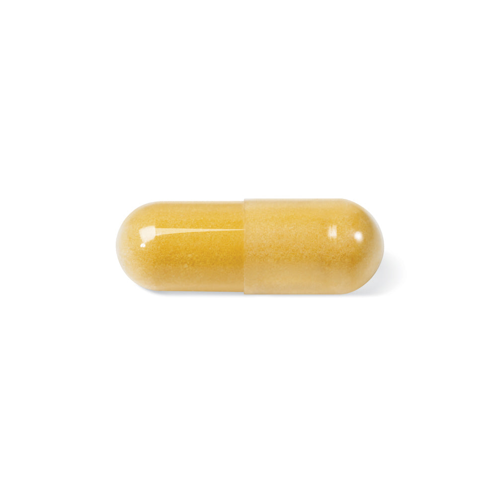 LV1931_IronSmart_Pill