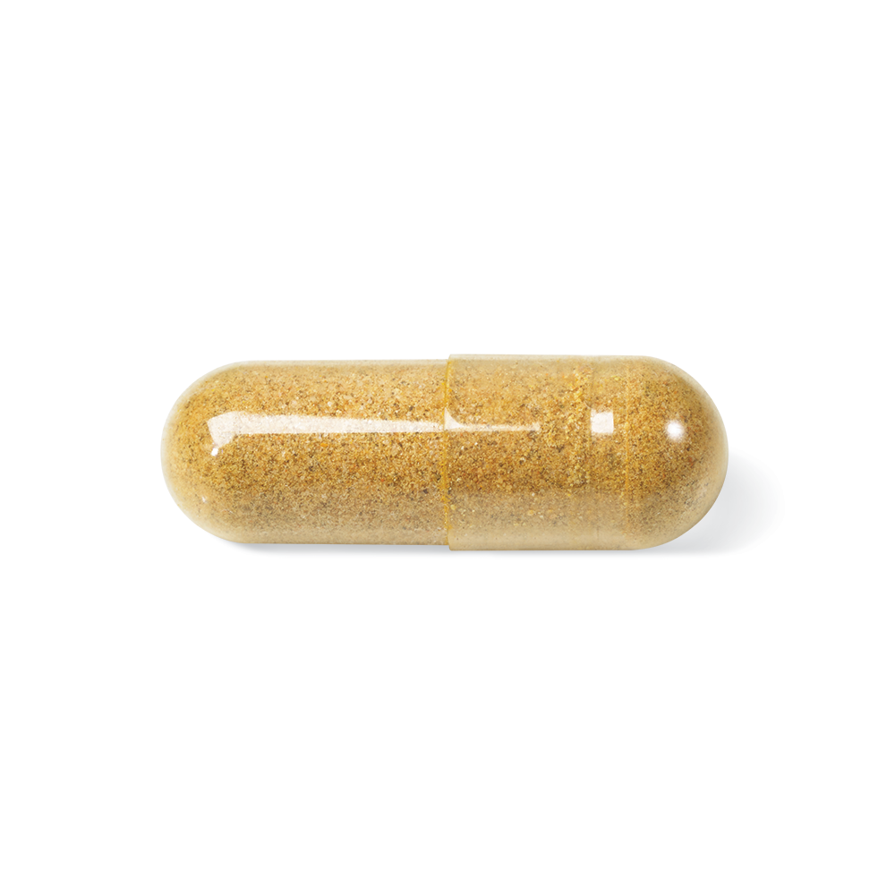 LV0224_CycleSmart_Pill